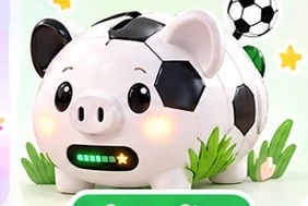 Soccer Star special Pigo design